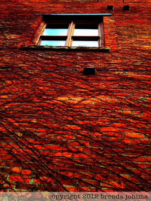 Red Brick Wall iPhone Art