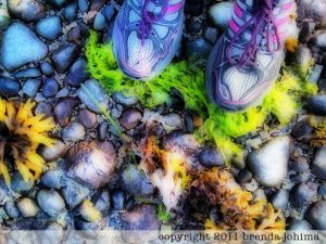Jogging, Ships Point, Fanny Bay, Vancouver Island