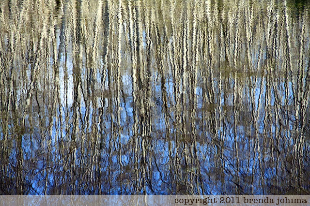 Reflections on the Road to Tofino