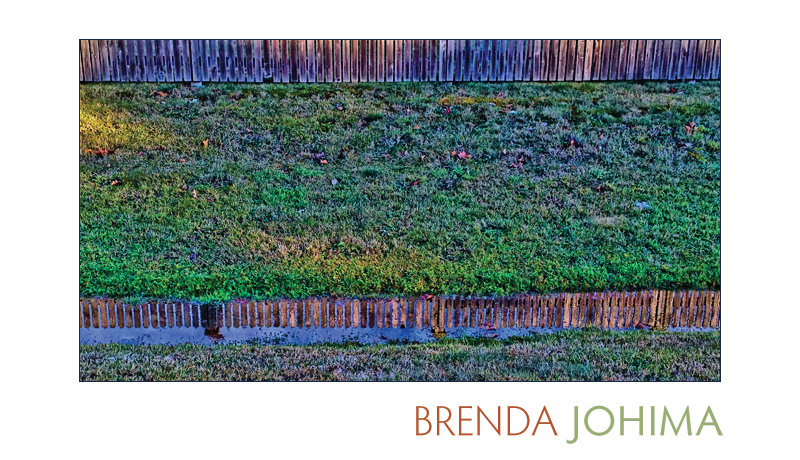Beauty in a Ditch : iPhone Photograph