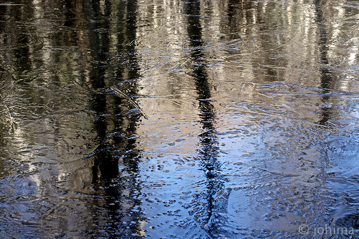 abstract nature photography by brenda johima
