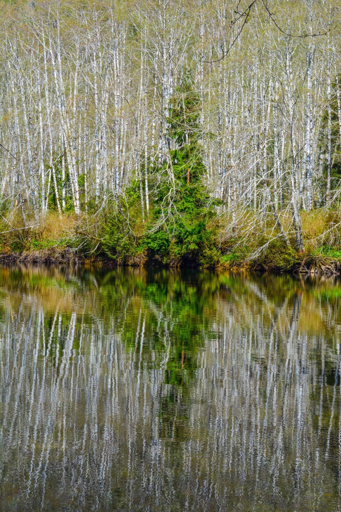 Nature’s Complexity