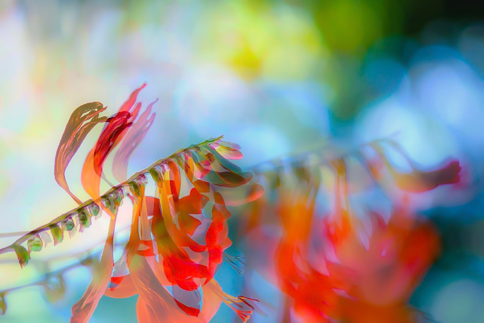 Creating PhotoArt